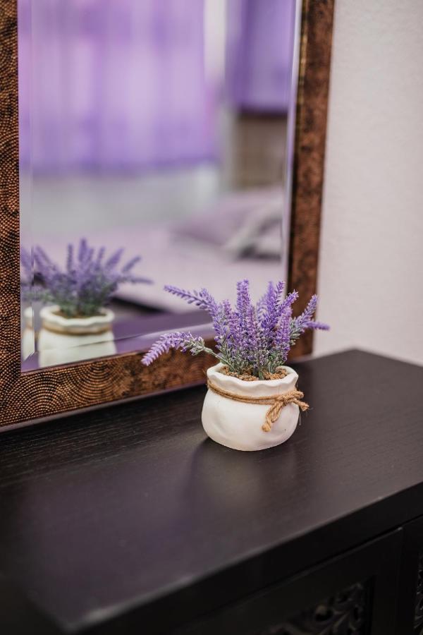 Appartement Glicinia à Šibenik Extérieur photo
